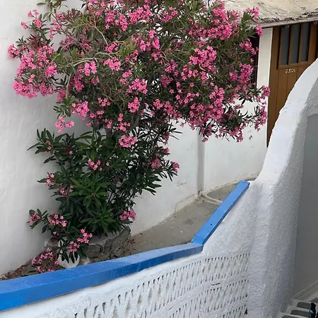 Mikele Mykonos Sea View -kalypso- Holiday home