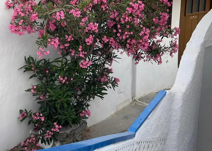 Mikele Mykonos Sea View -kalypso- Tatil Evi